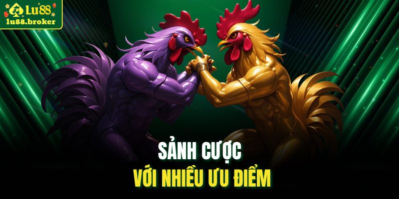 Sảnh cược với nhiều ưu điểm